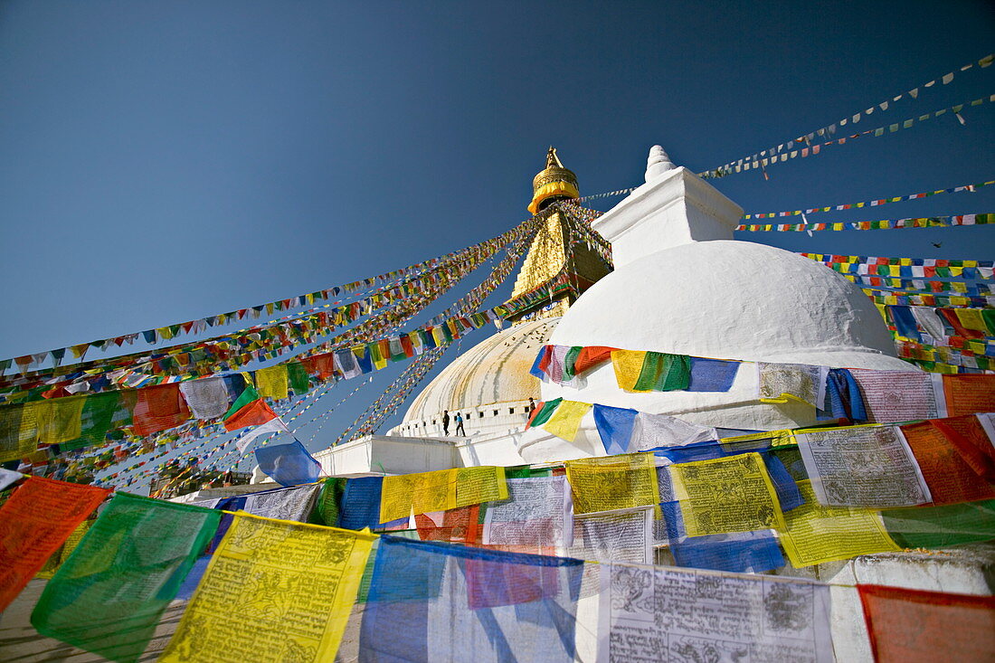Buddhistischer Stupa, bekannt als Bodnathk (auch Boudha), Kathmandu, Nepal. Aufgenommen in Lhosar, dem tibetischen Neujahr, daher die Fülle neuer Gebetsfahnen.