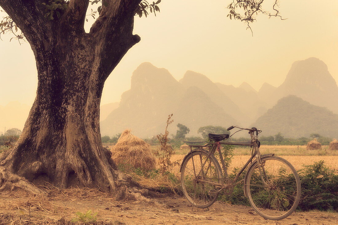 Bicycle, tree and mountains, Yulong River valley, Yangshuo, Guangxi Province, China, Asia