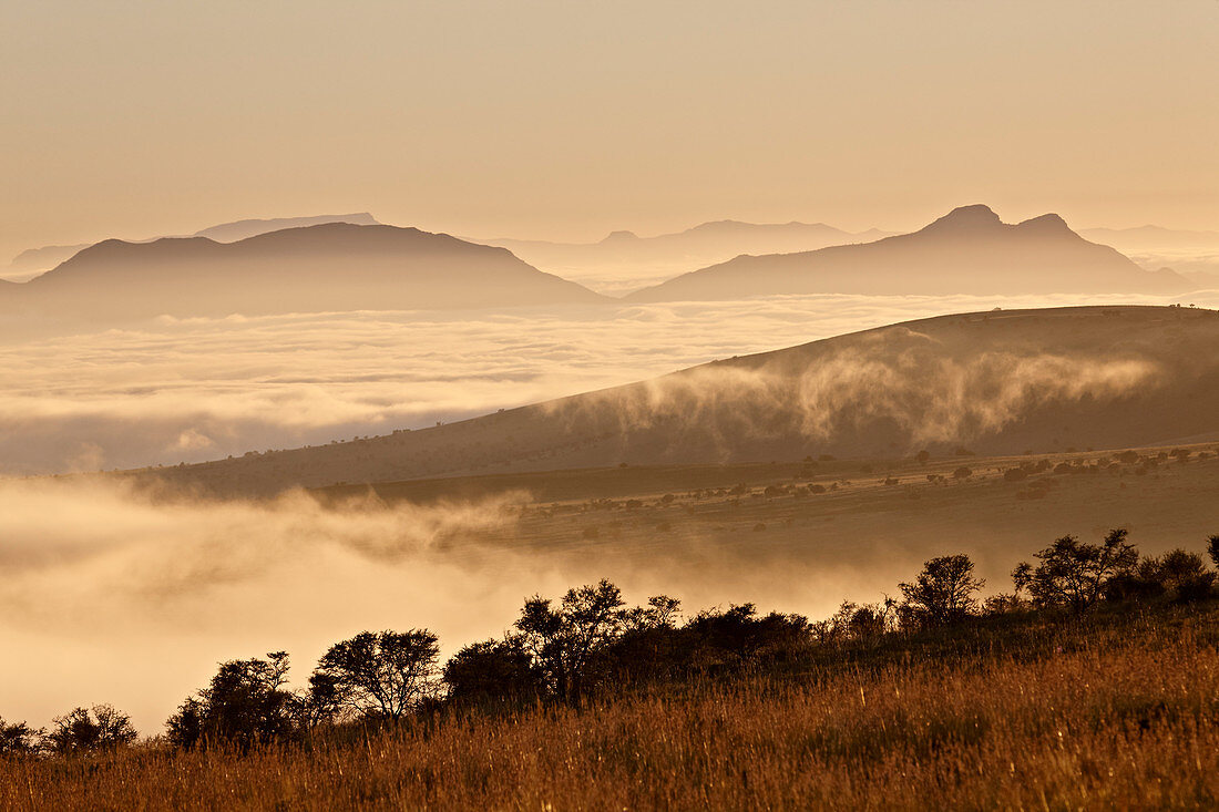 Cloud layer at dawn, Mountain Zebra National Park, South Africa, Africa