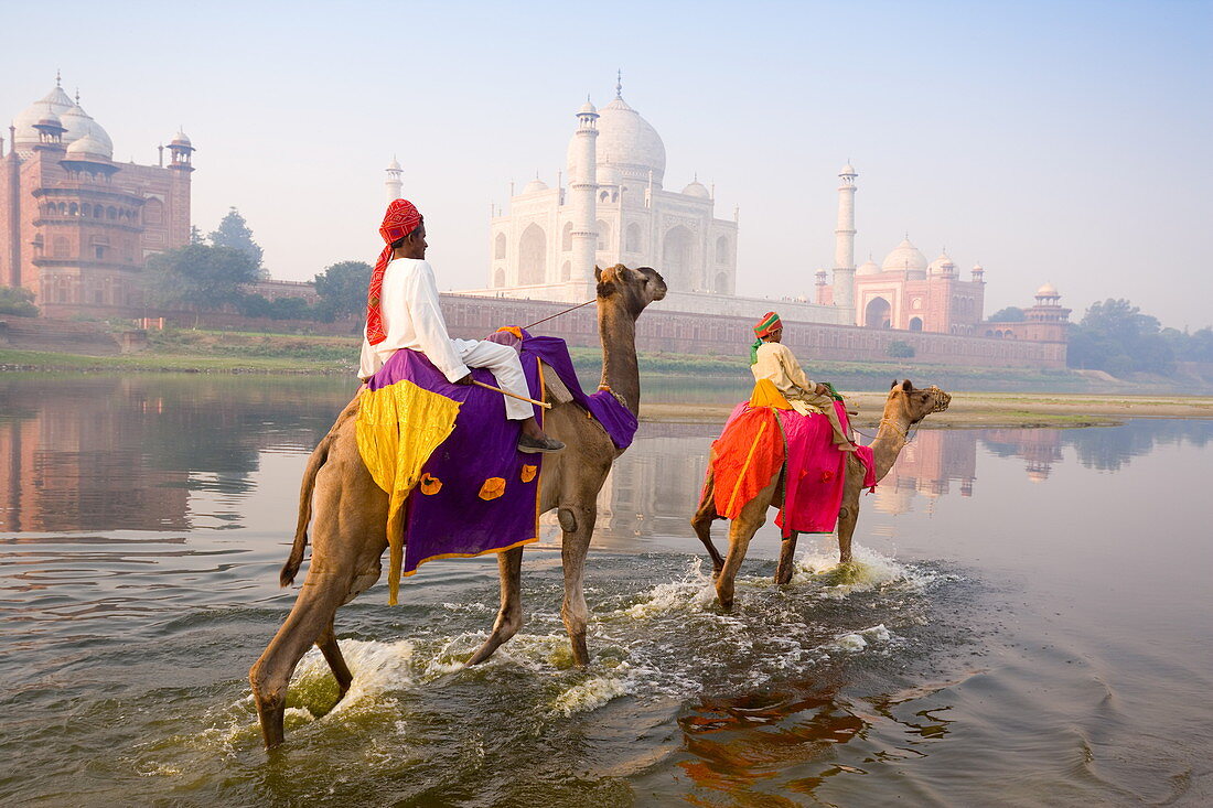 Mann und Junge reiten auf Kamelen im Yamuna-Fluss vor dem Taj Mahal, UNESCO-Weltkulturerbe, Agra, Uttar Pradesh, Indien, Asien