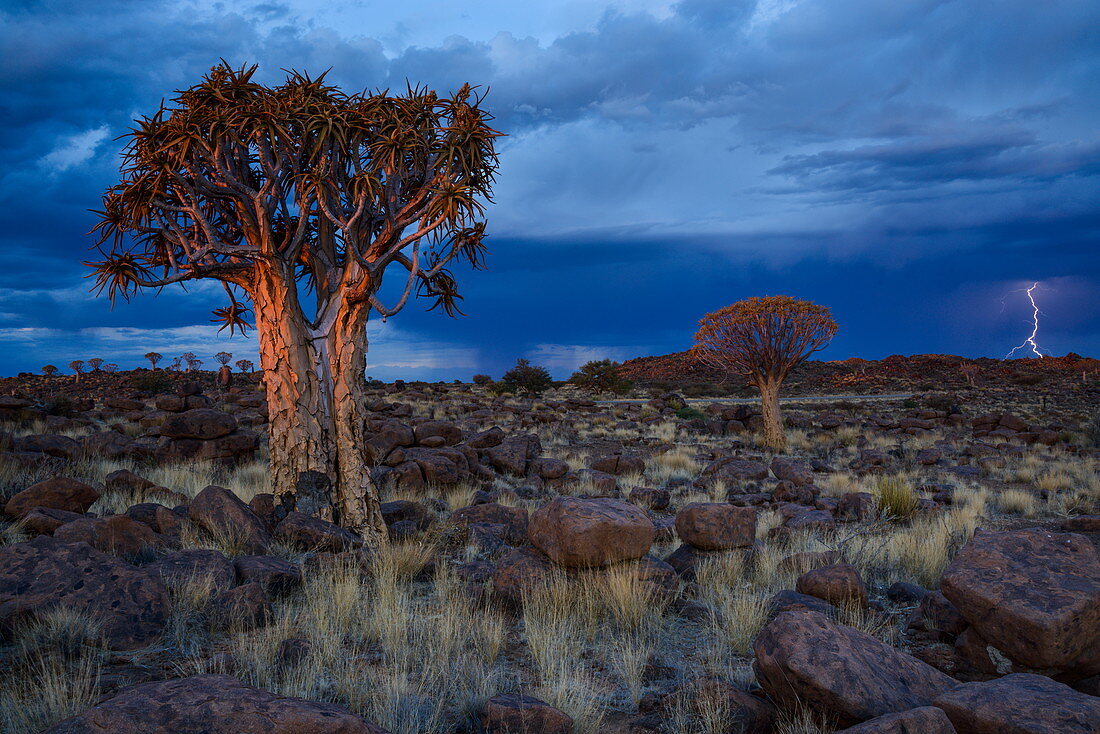 Blitzeinschläge inmitten der Felsen und Köcherbäume bei Sonnenuntergang auf dem Spielplatz des Riesen, Keetmanshoop, Namibia, Afrika