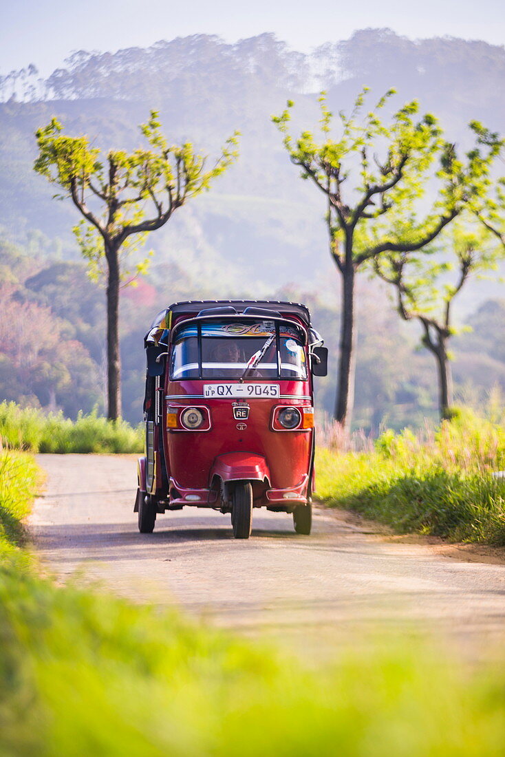 Tuktuk im Hügelland von Sri Lanka, Haputale, Bezirk Nuwara Eliya, Sri Lanka, Asien