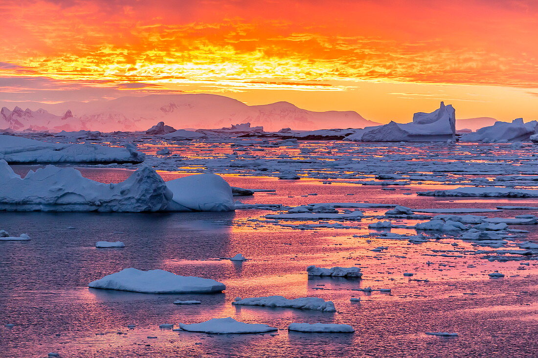 Sonnenuntergang über Eisschollen und Eisbergen, nahe Pleneau Island, Antarktis, Südlicher Ozean, Polarregionen