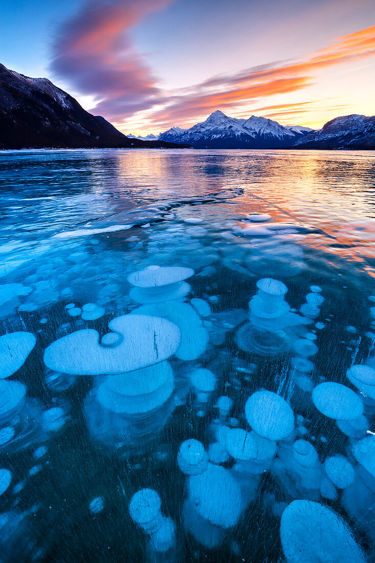 Blasen im Eis des Abraham Lake, Elliot Peak im Hintergrund, Alberta, Kanada, Nordamerika