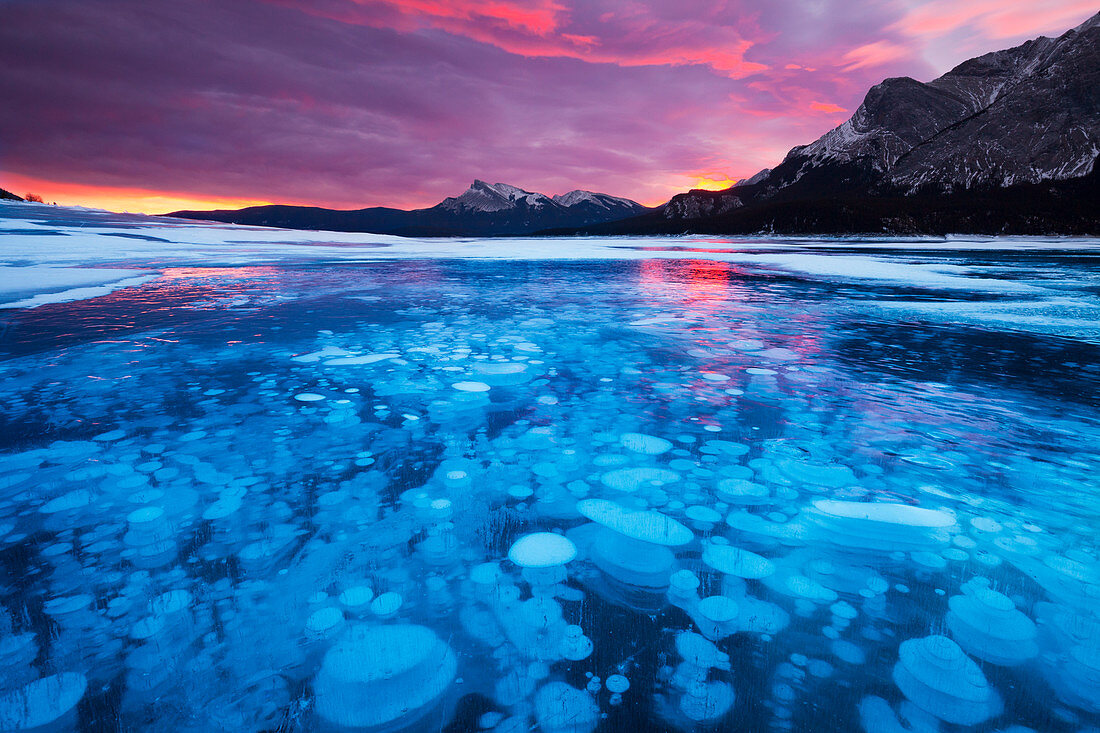 Bubbles and Cracks in the Ice with Kista Peak in the Background at Sunrise, Abraham Lake, Alberta, Canada, North America