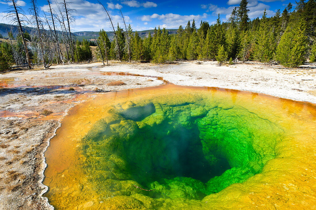 Morning Glory Pool und Umgebung, Yellowstone National Park, UNESCO-Weltkulturerbe, Wyoming, Vereinigte Staaten von Amerika, Nordamerika
