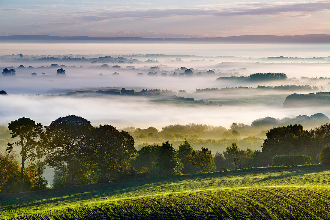 Rolling fields extend from Eddisbury Hill to the dawn landscape with autumn mist lying on the Cheshire plain, Cheshire, England, United Kingdom, Europe