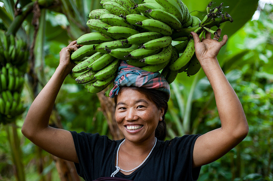 A woman collects bananas and balances them on her head to carry, Manipur area, India, Asia