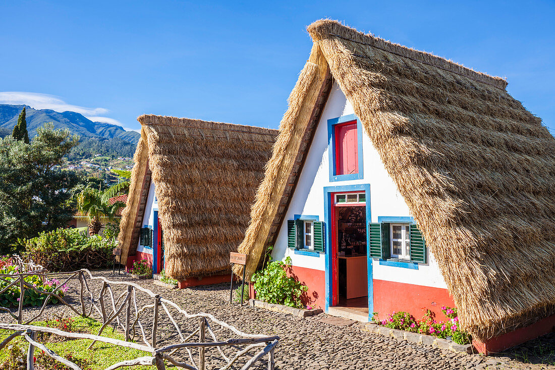 Traditionelle dreieckige A-Rahmen Reethäuser (Palheiro-Häuser), Santana, Madeira, Portugal, Atlantik, Europa