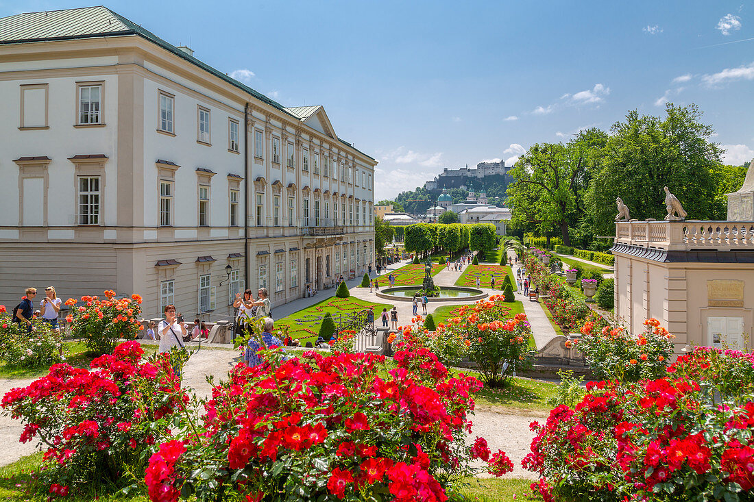 View of Hohensalzburg Castle from Mirabell Gardens, UNESCO World Heritage Site, Salzburg, Austria, Europe