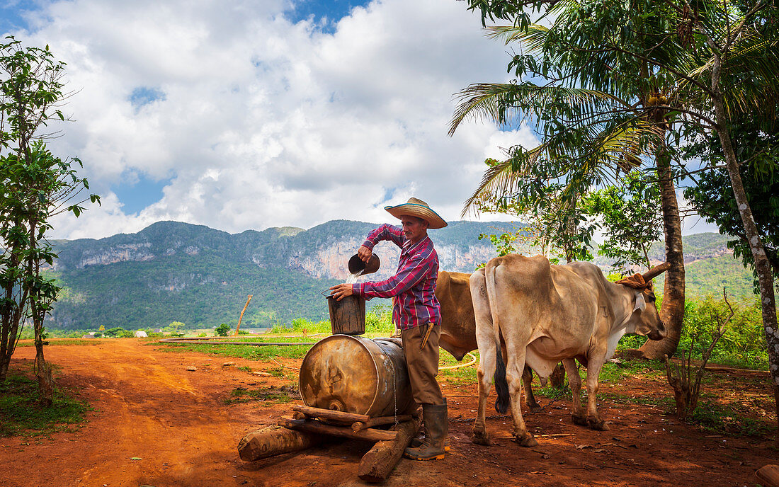 Landwirt mit Arbeitskleidung zieht Wasser vom alten Brunnen im Vinales-Nationalpark, UNESCO-Weltkulturerbe, Provinz Pinar del Rio, Kuba, Westindische Inseln, Mittelamerika