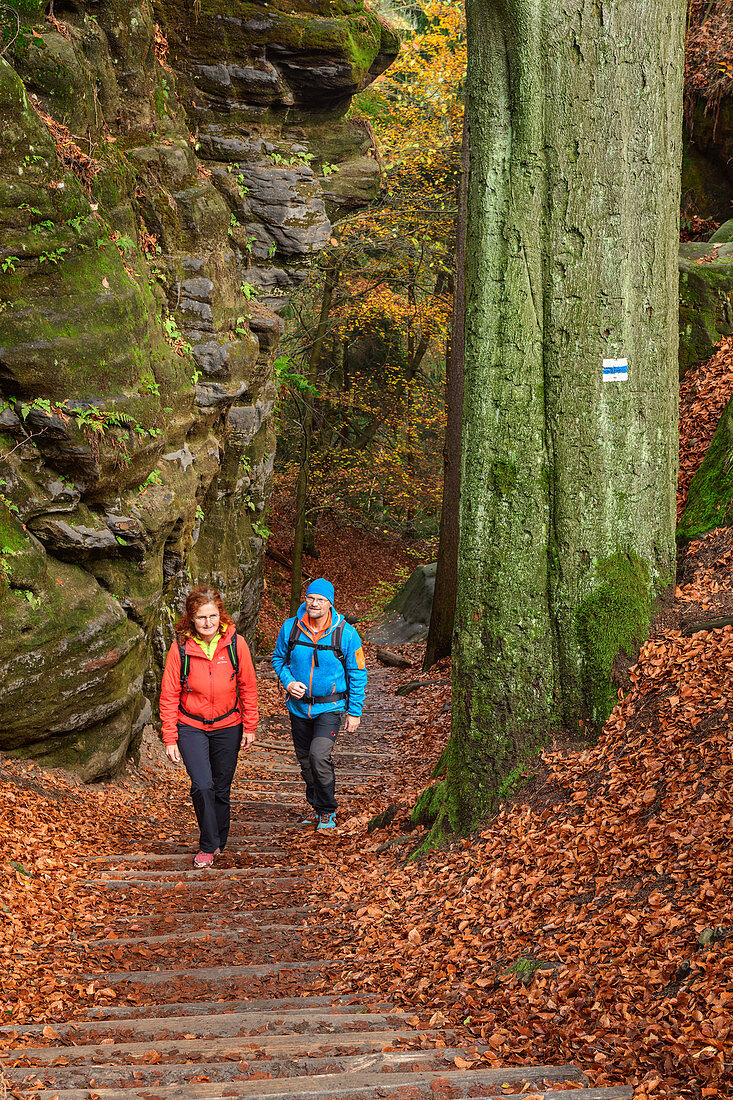 Man and woman hiking in the Elbe Sandstone Mountains, Bastei, Elbe Sandstone Mountains, Saxon Switzerland National Park, Saxon Switzerland, Saxony, Germany