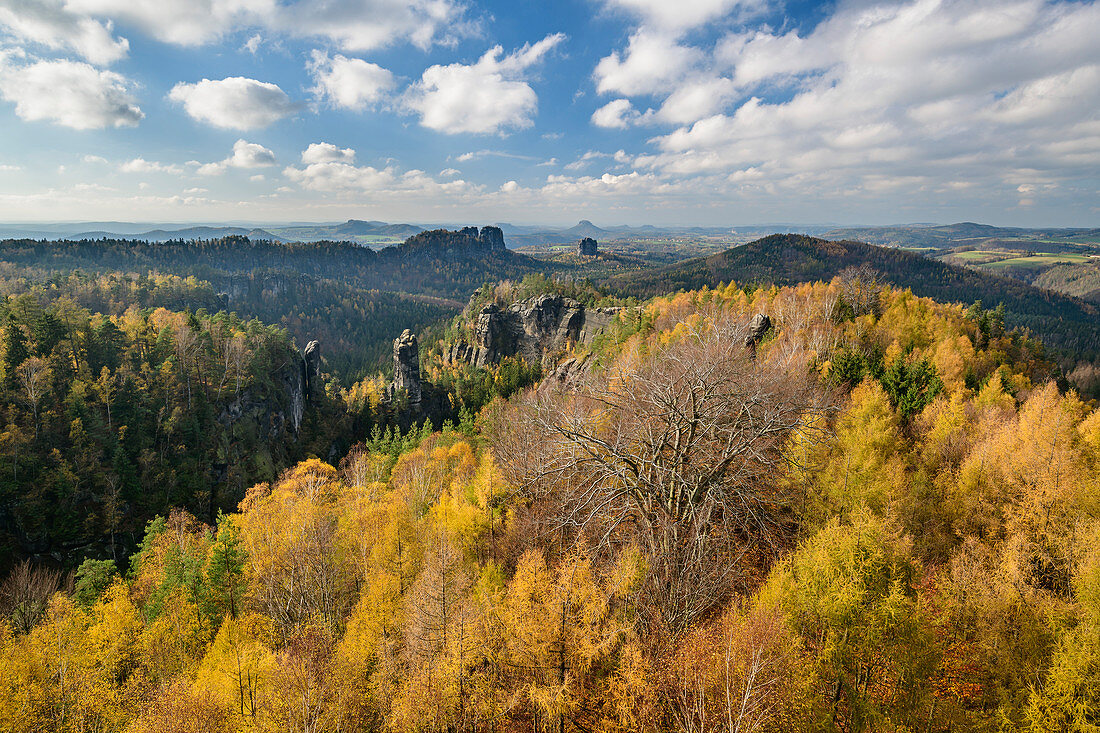 Rock towers in the Elbe Sandstone Mountains dominate the autumnal colored forest, Carolafelsen, Elbe Sandstone Mountains, Saxon Switzerland National Park, Saxon Switzerland, Saxony, Germany