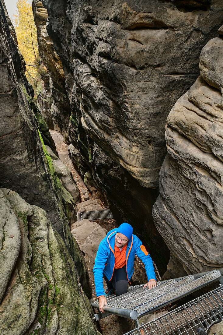 Man climbs up ladder through gorge to Gohrisch, Gohrisch, Elbe Sandstone Mountains, Saxon Switzerland National Park, Saxon Switzerland, Saxony, Germany