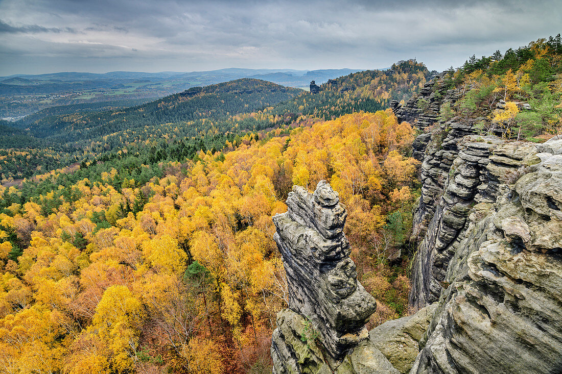 Rock towers in the Elbe Sandstone Mountains protrude from autumn-colored forest, Gohrisch, Elbe Sandstone Mountains, Saxon Switzerland National Park, Saxon Switzerland, Saxony, Germany