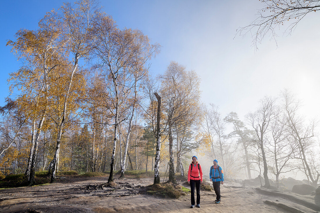 Mann und Frau wandern durch Birkenwald, Carolafelsen, Elbsandsteingebirge, Nationalpark Sächsische Schweiz, Sächsische Schweiz, Sachsen, Deutschland