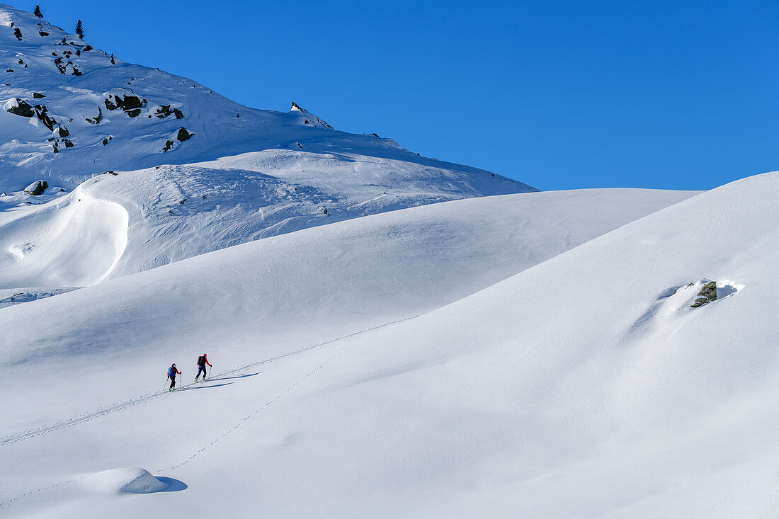 Mann und Frau auf Skitour steigen zum Regenfeldjoch auf, Regenfeldjoch, Kitzbüheler Alpen, Tirol, Österreich