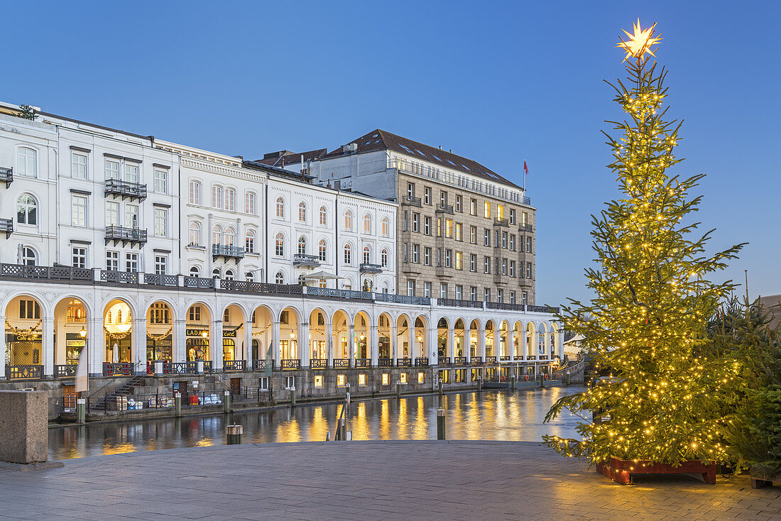 Weihnachtsbaum an der Binnenalster vor den Alsterarkaden, Hansestadt Hamburg, Norddeutschland, Deutschland, Europa