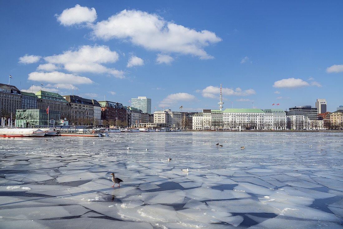Eis auf der Binnenalster, Altstadt, Freie Hansestadt Hamburg, Norddeutschland, Deutschland, Europa