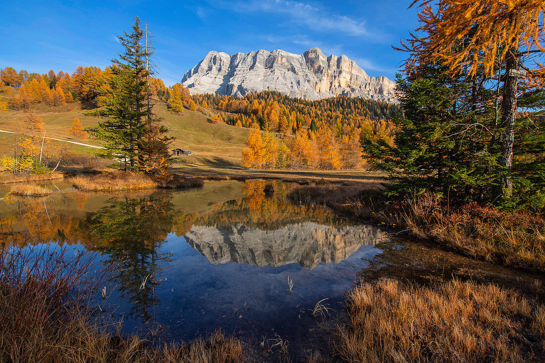 The Armentara meadows under the Kreuzkofel in the South Tyrolean Dolomites, UNESCO World Natural Heritage, Gadertal, Italy