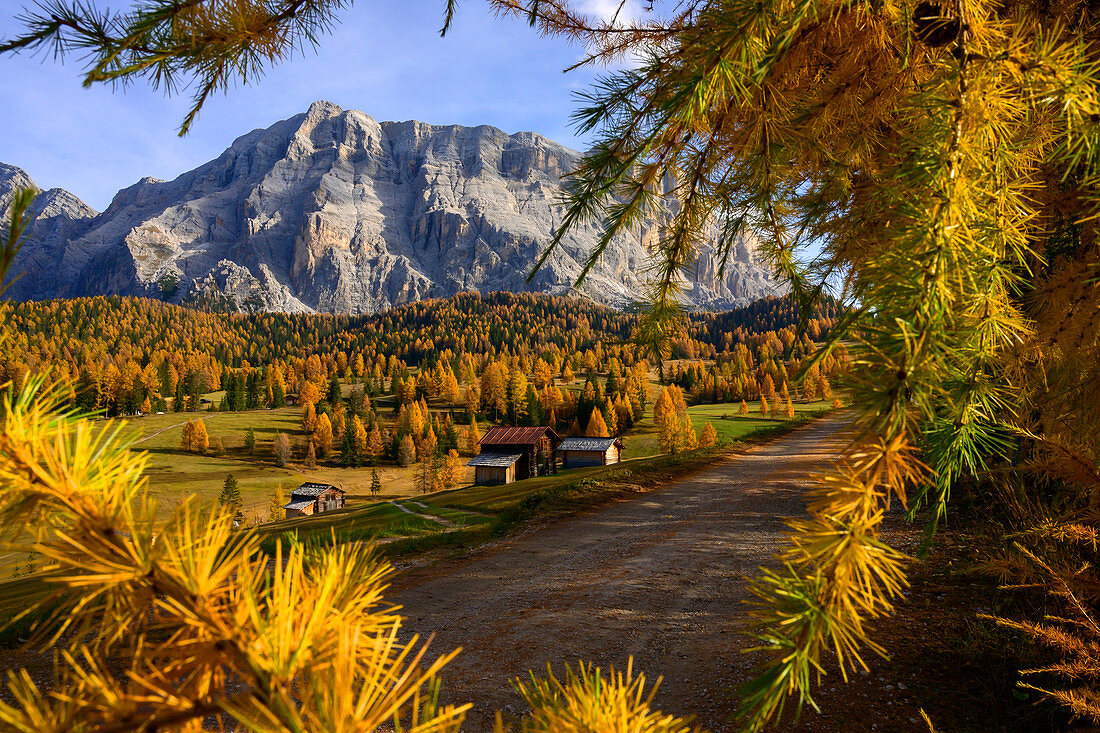 The Armentara meadows under the Kreuzkofel in the South Tyrolean Dolomites, UNESCO World Natural Heritage, Gadertal, Italy