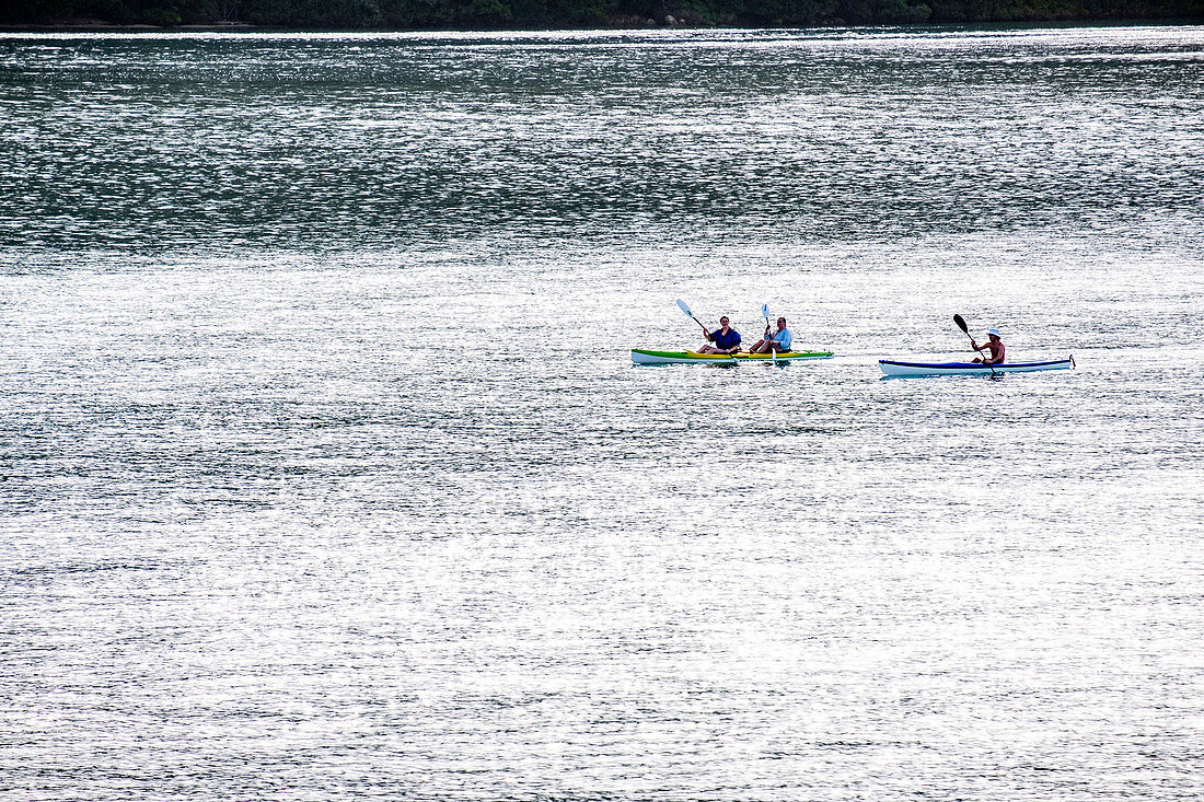 Kayakers in the Leisure Island Lagoon, Knysna, Garden Route, South Africa, Africa