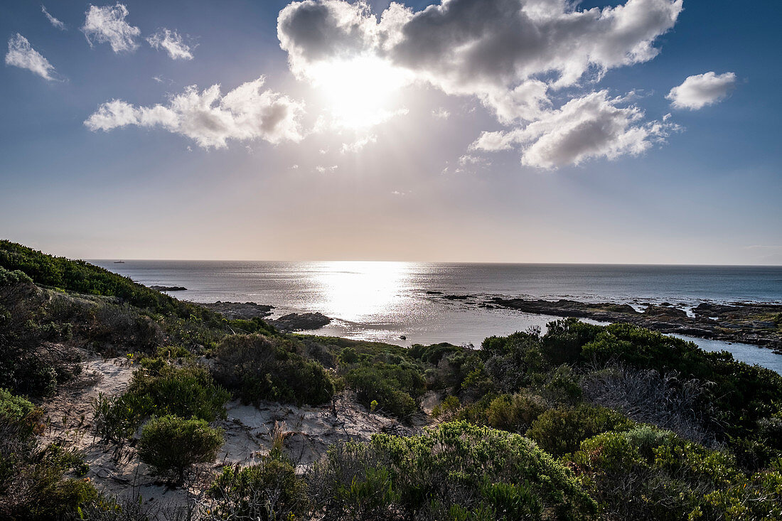 Küste bei De Kelters, Gansbaai, Garden Route, Südafrika, Afrika