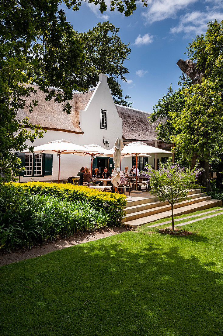 Groot Constantia Winery, Constantia, Cape Town, South Africa, Africa