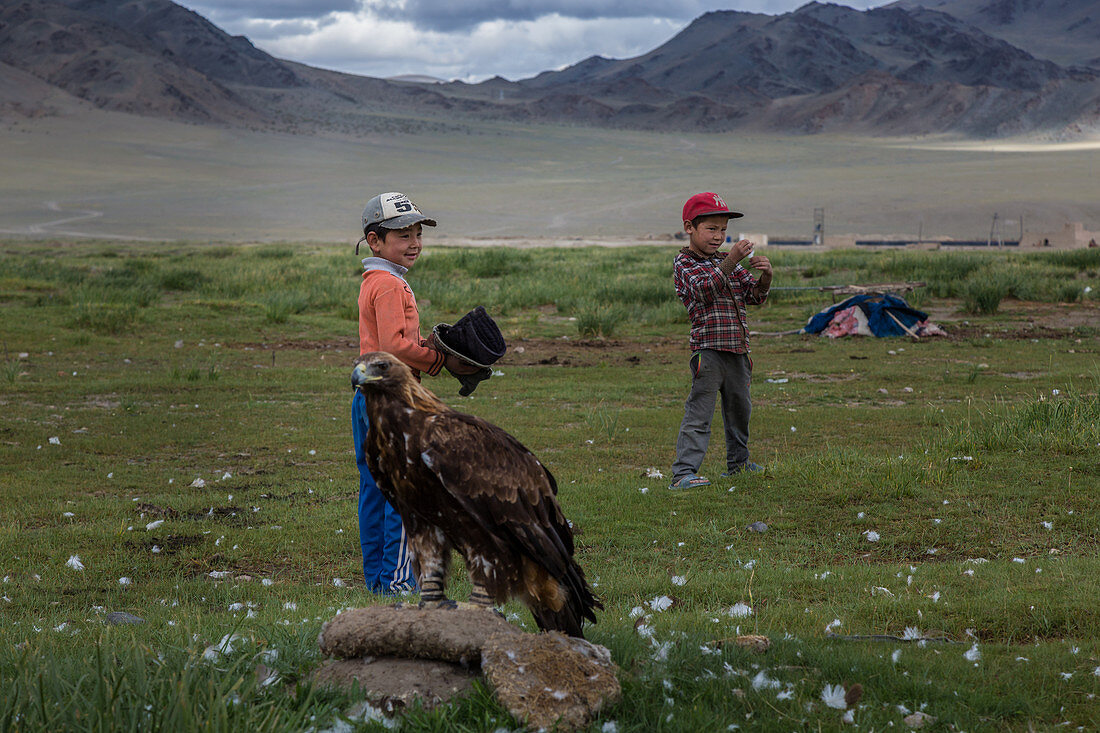 Kasachische Kinder spielen um den Königsadler ihrer Familie, der traditionell zur Jagd verwendet wird, Tavan Bogd Massiv, Altai, Provinz Bayan-Olgii, Mongolei
