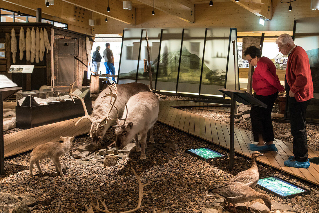Tiere des Polarkreises, Svalbard Museum, Longyearbyen, nördlichstes Städtchen der Erde, Spitzbergen, Svalbard, Arktischer Ozean, Norwegen Norwegen