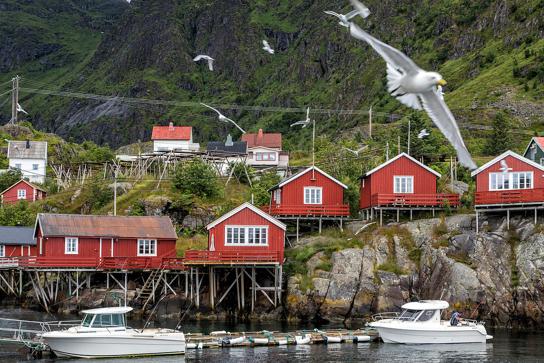 TRADITIONAL RED-PAINTED WOODEN HOUSES, THE NORWEGIAN FISHING VILLAGE MUSEUM (NORSK FISKEVAERSMUSEUM), LOFOTEN ISLANDS, NORWAY