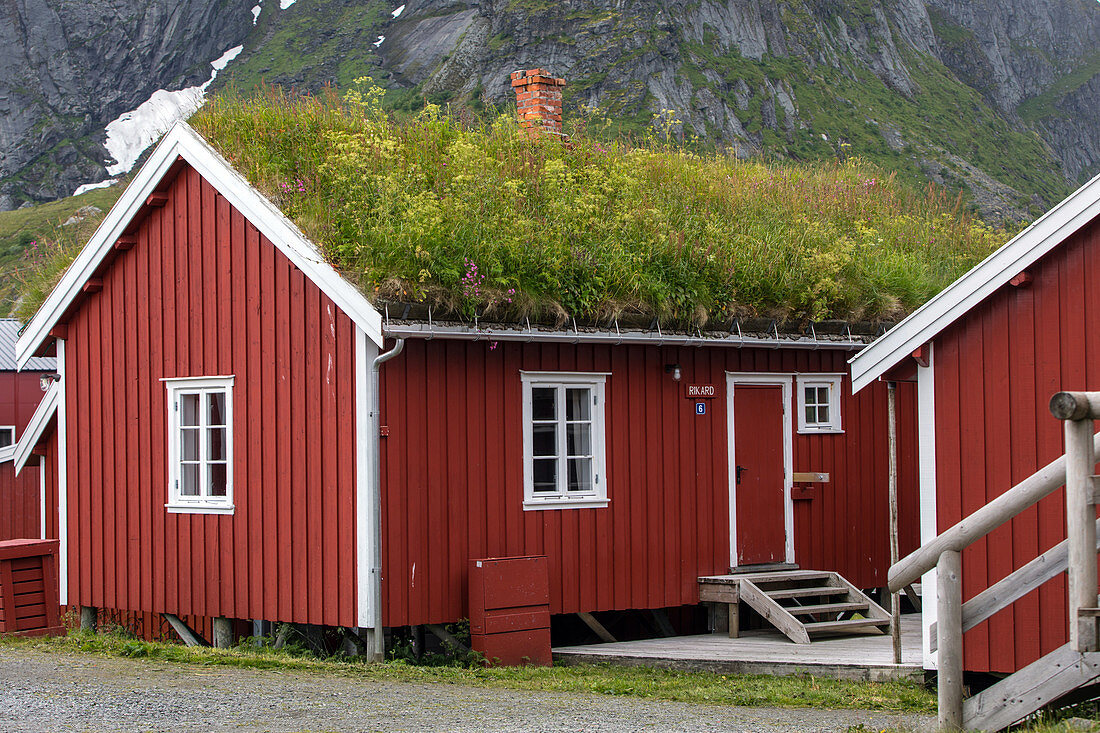 Traditionelle rote Holzhäuser mit begrüntem Dach zur Wärmedämmung, das Dorf Reine, Lofoten, Norwegen