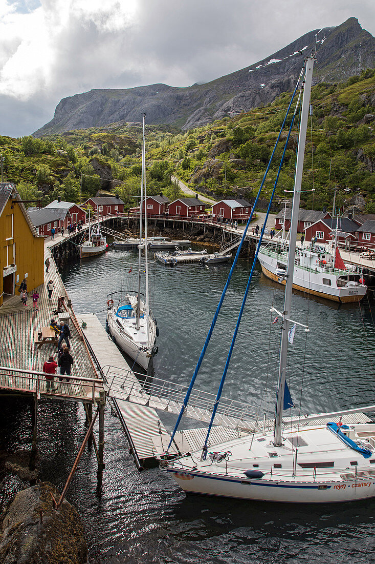 Fischerdorf mit traditionellen Fischerhäusern aus rot und gelb gestrichenem Holz, Nusfjord, Vestfjord, Lofoten, Norwegen