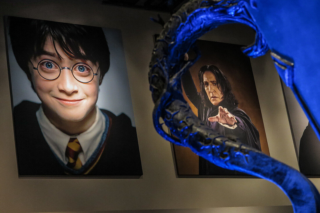 Fotos der Schauspieler in der Eingangshalle, Studio Tour London, ' Making of Harry Potter', Warner Bros, Leavesden, Vereinigtes Königreich