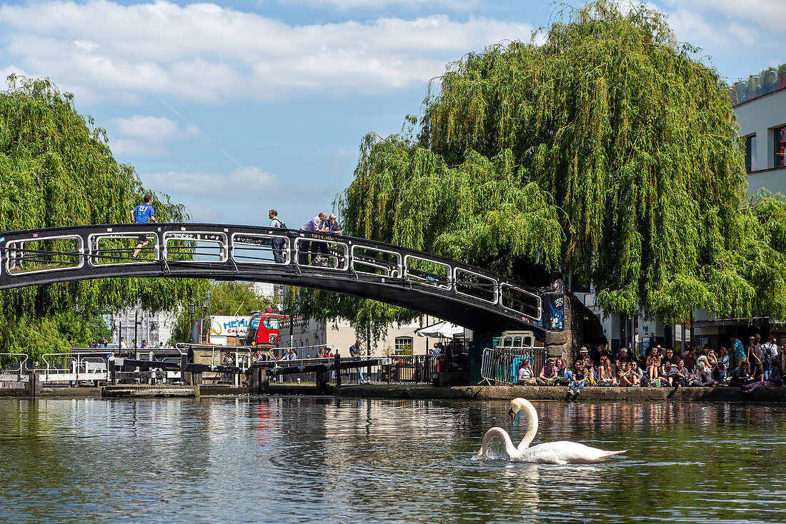 SWANS AND BRIDGE OVER REGENT'S CANAL, LONDON, GREAT BRITAIN, EUROPE