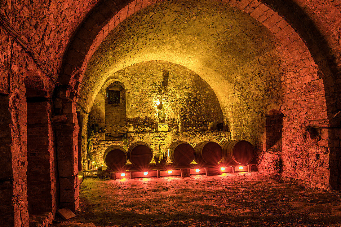 INSIDE THE CELLAR WHERE THE LAST FOUR MONKS WHO WERE KILLED DURING THE FRENCH REVOLUTION AND STILL HAUNT THE PLACE, CISTERCIAN ROYAL ABBEY OF MORTEMER, BUILT IN THE 12TH CENTURY BY HENRI I BEAUCLERC, SON OF THE WILLIAM THE CONQUEROR, FOR THE BENEDICTINE MONKS, LISORS (27), FRANCE