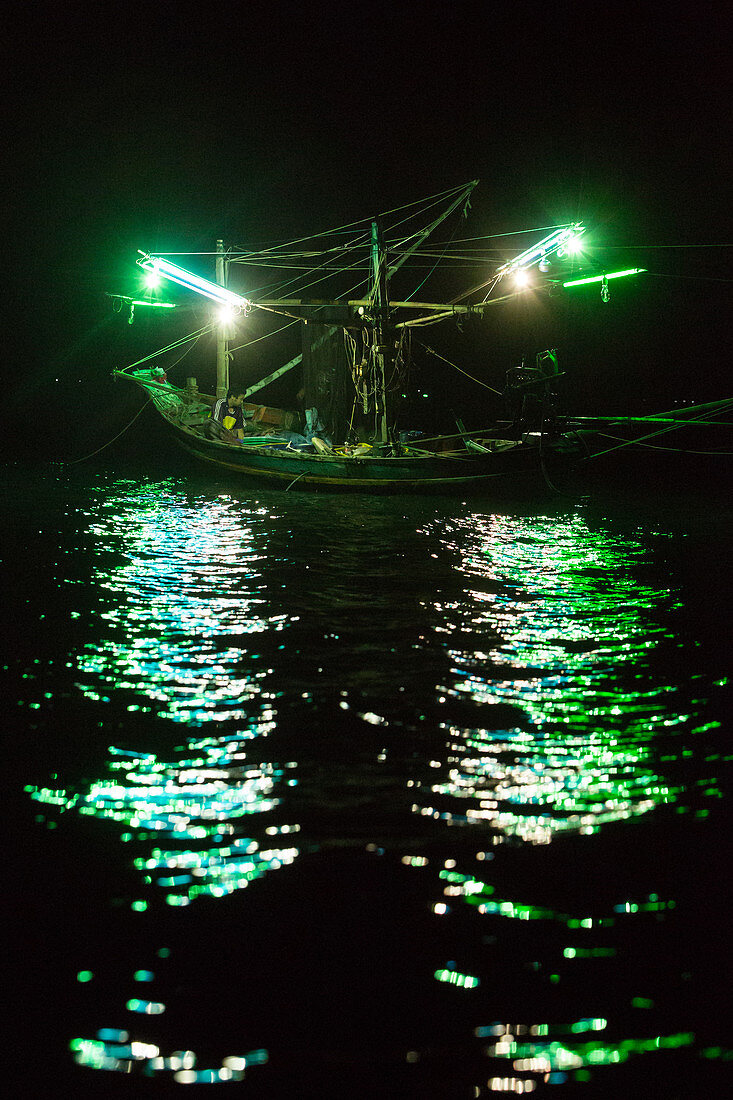 SQUID FISHING AT NIGHT, FISHING BOAT … – License image – 71324139