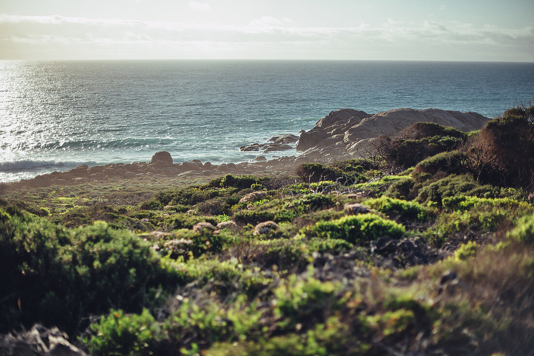 Oberhalb vom Smiths Beach bei Margaret River, Westaustralien, Australien, Ozeanien;