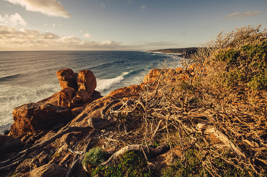 Sonnenuntergang bei den Wilyabrup sea cliffs bei Margaret River, Westaustralien, Australien, Ozeanien