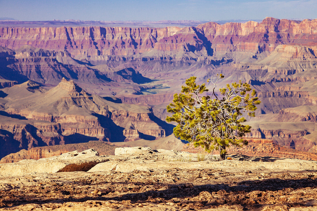 Grand Canyon National Park, South Rim, Arizona, USA