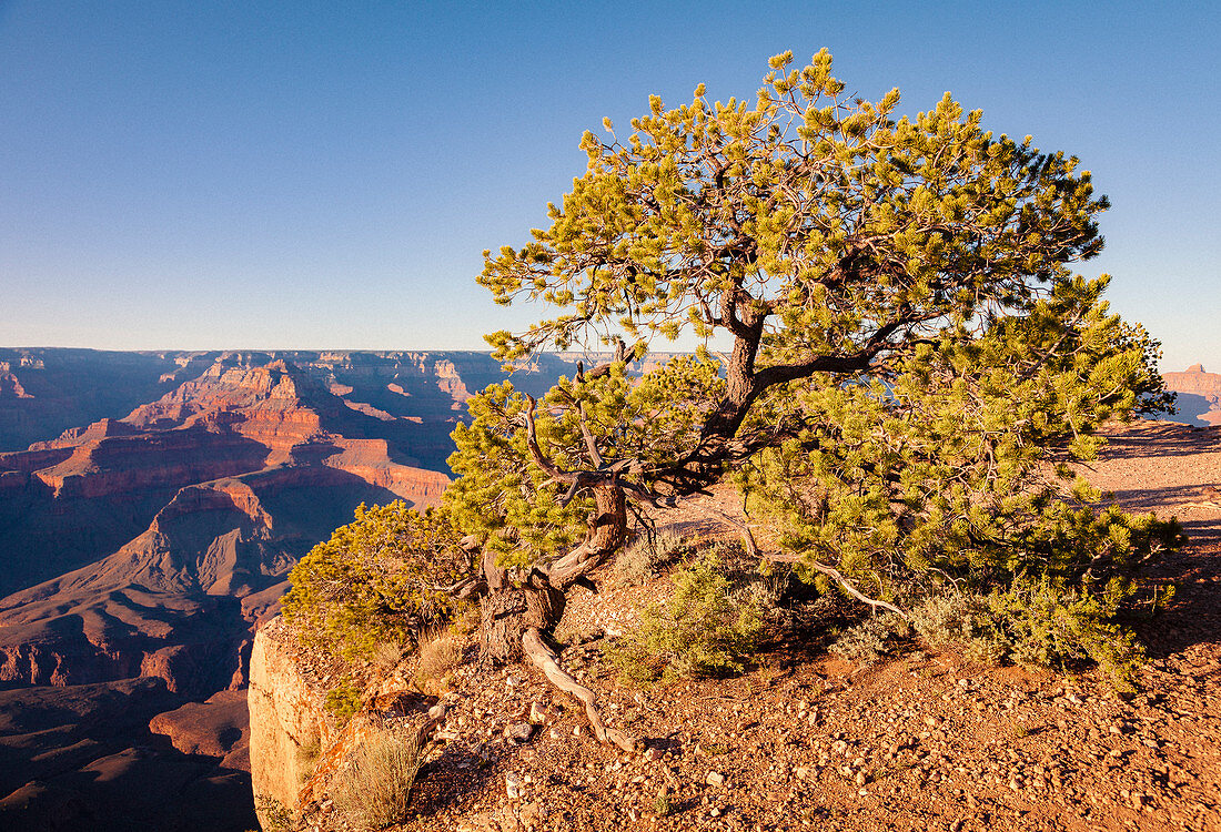 Grand Canyon National Park, South Rim, Arizona, USA