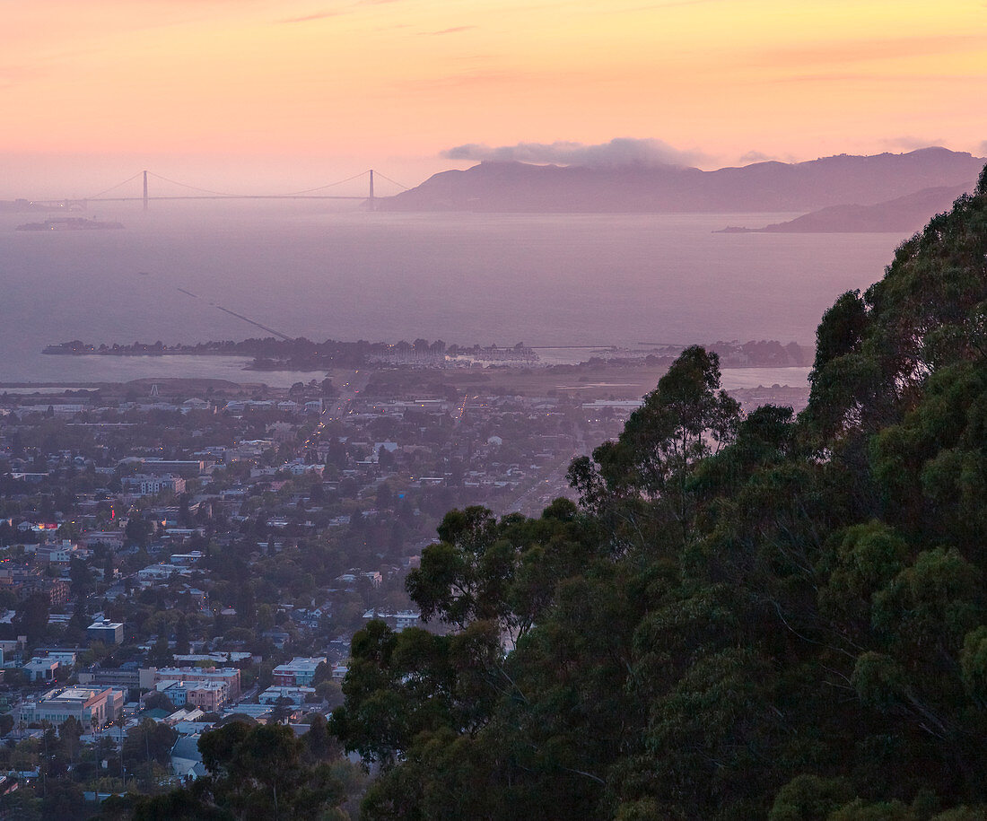 Blick von den Berkeley Hills auf die Golden Gate Bridge, San Francisco, Kalifornien, USA