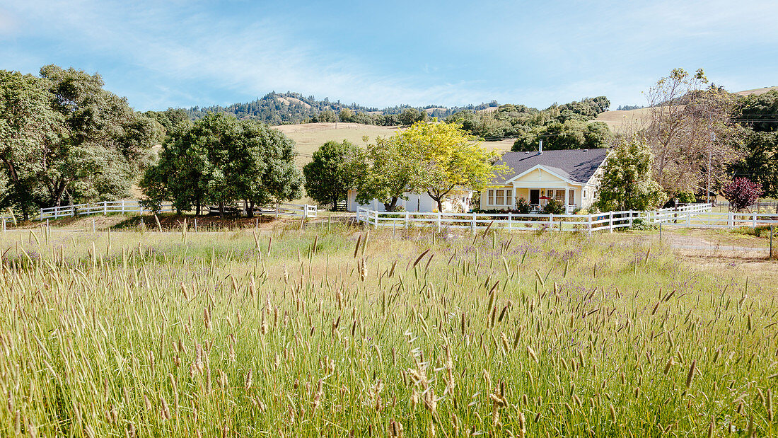 Breggo Weingut im Weingebiet Navarro, Kalifornien, USA