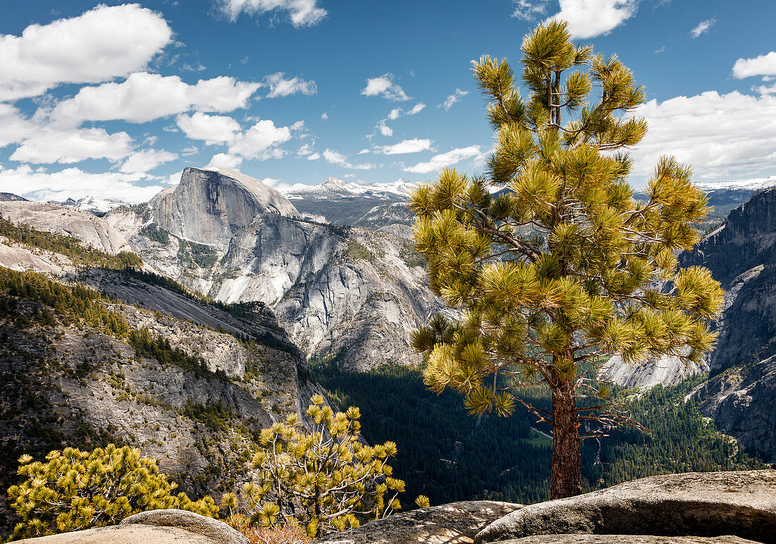 View of Half Dome and Yosemite Valley, Yosemite Falls Trail, Yosemite National Park, California, USA