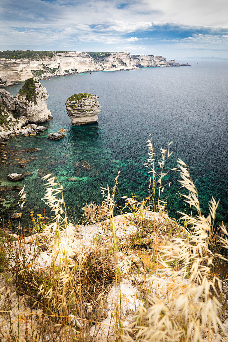Klippen bei Bonifacio mit Blick Richtung Capo Pertusato, Korsika, Frankreich