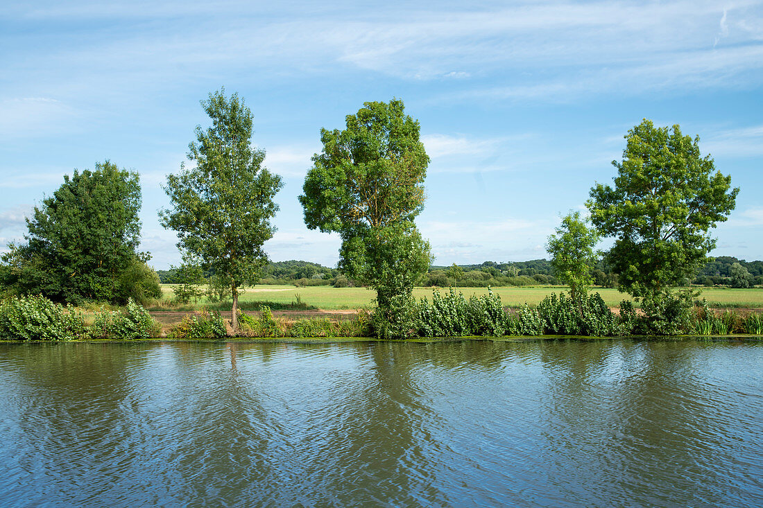 Banks of the Vilaine with trees, Vilaine, Ille-et-Vilaine department, Brittany, France, Europe