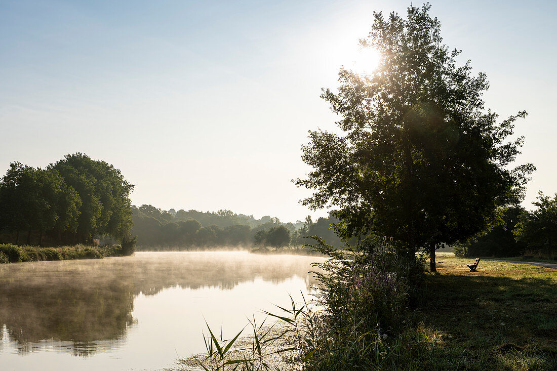 Fog on the calm waters of the Vilaine at sunrise, near Redon, Ille-et-Vilaine department, Brittany, France, Europe