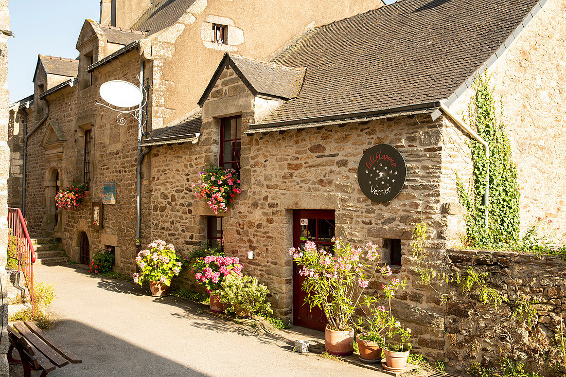 Stone house with shop, in front of large blooming flower pots, La Roche-Bernard, Vilaine, Morbihan department, Brittany, France, Europe