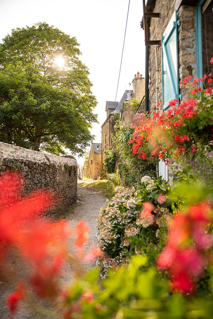 Dreamy path on the city wall with red geraniums on the windows and hydrangeas, Rue du Ruicard, La Roche-Bernard, Vilaine, Morbihan department, Brittany, France, Europe