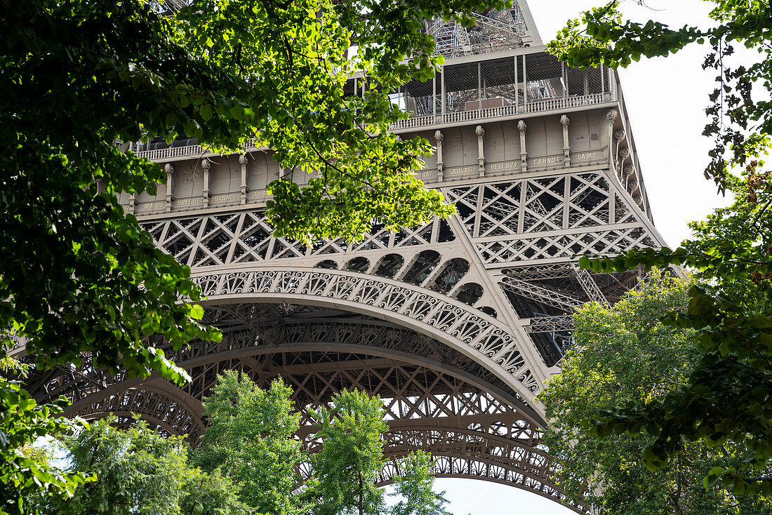 Detail of the steel structure from the Eiffel Tower framed by green leaves, Paris, France, Europe